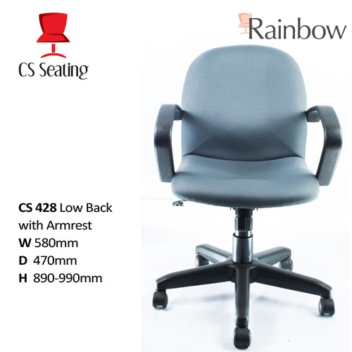 5-RainbowLowBackCS404a.jpg
